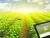 Do Farming in a Productive Way with Smart Agriculture Technology