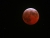 Bloody Red Moon