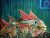 Magic Fish 