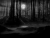 The Dark Forest