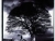 Black Cloud