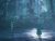 Vivid Apparition