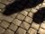 The Cobbled Path