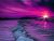 A Purple Sunset