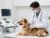 Global Veterinary Monitoring Equipment Market Size, Share & Growth Forecast 2033