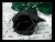 SINGLE BLACK ROSE