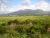 At Long Mynd