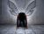 broken wings