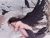  A Bird With A Broken Wing