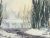   Winter Splendor