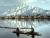 Srinagar through the Seasons: Tulip Spring, Saffron Autumn, and Snowbound Winters
