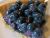 Blueberry Pie