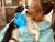 Romania Animal Rescue Launches Three-Day Spayathon to Address the Local Stray Animal Crisis