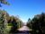 The Roadside