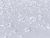 Invisible Tangent Lines