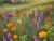 Wildflowers