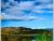 To The People of Gisborne -- An Invitation to Picnic.