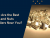 What Are the Best Bolts and Nuts Suppliers Near You?