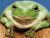 Frog Poo