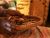 TRADITIONAL HEALER  [[+27764410726]] SANGOMA in  South africa, SECUNDA, OGIES, KWAGGAFONITEN, ERMELO