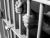 Pretty Prison 