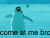 Penguin Attitude Senryu