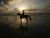 The Boy Who Rides By The Sea