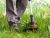 Guide To Buy A String Trimmer Head 