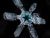 Snowflakes under microscope...