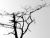  25-Baskets-