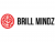 BrillMindz Technologies