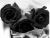 Blackened Roses