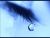 A Tear Drop