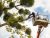 The Importance of Tree Cutting Services: Ensuring Healthy Trees and Safe Surroundings