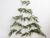 My Christmas Tree