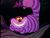 Cheshire Cat