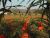 Emma and the Pumpkin Patch