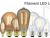 GREEN CREATIVE Launches Full Line of Filament LED Lamps