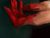 Bloody Hands