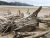 Driftwood