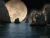 My Yellow Moon