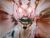 Weeping Demon
