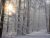Stillness