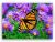 88 - Monarch (Butterfly)