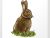 Adult Cinema: Brown Bunny Dragon