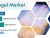 Aerogel Market with Global Competitive Analysis, and New Business Developments